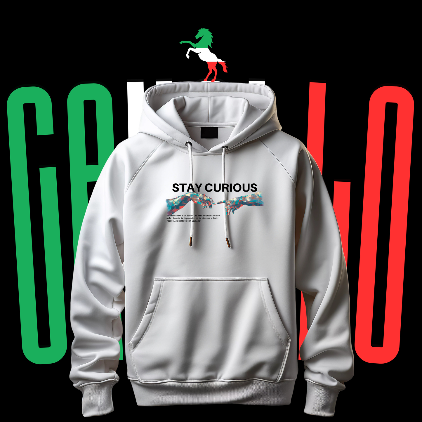 Stay Curios Hoodie